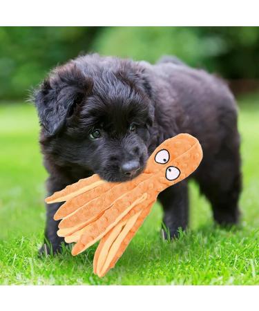 Shop Citamama Squeaky Dog Toy Set - 5 Plush Interactive Training Toys for Small to Medium Dogs | No Fill Eco-Friendly Pet Gear - Buy Online on GoSupps.com