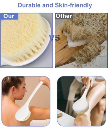 HORJOR Long Handle Back Scrubber Shower Brush for Men and Women - Bath Scrubbers for Shower Use - Buy Online on GoSupps.com