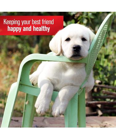 Sulfodene 3 Way Ointment - Fast-Acting Relief for Pets | Buy Online - Buy Online on GoSupps.com