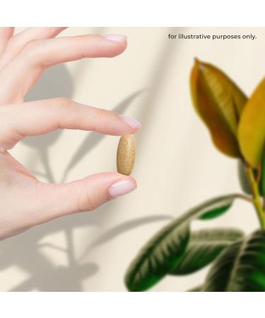 Dandelion Root Extract 500mg | 60 Vegan Tablets | High Strength 4:1 Extract | by Nature's Truth - Buy Online on GoSupps.com