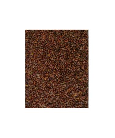 Grape seed loose 5 kg