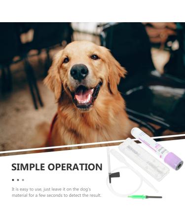 Yardwe Dog Pregnancy Test Kit | Rapid Relaxin Canine Pregnancy Test Strip for Home & Clinic | Fast, Accurate & Easy to Use Results - Buy Online on GoSupps.com
