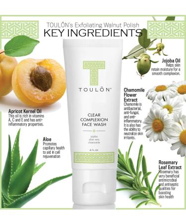 TOULON Aloe Vera Face Wash | Anti-Aging Cleanser for Oily Skin | Antioxidant Facial Cleanser for Men & Women - Clear Complexion - Buy Online on GoSupps.com