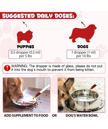 Liquid Iron Supplements for Dogs - with Folate and B12 Supplements Anemia Promotes Blood Health Oxygen Supply and Blood Cell Formation Increase Low Energy Levels Lethargy - 2 oz - Buy Online on GoSupps.com