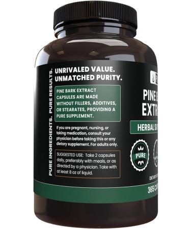 Pine Bark Extract Capsules (365 ct) - Pure Original Ingredients, Lab Verified, No Fillers - 365 Servings (1 Pack) - Buy Online on GoSupps.com