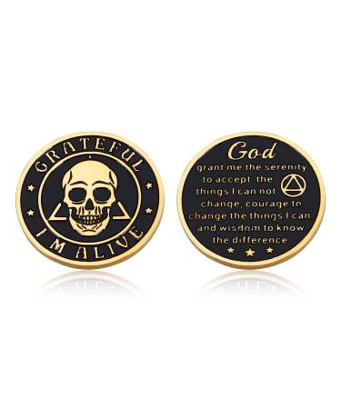 Sobriety Gifts for Men Women Sobriety Chip Addiction Recovery Gift for Family Friends Affirmation AA Coin Sober Gifts for Him Her Sobriety Gift for Alcoholics AA Members