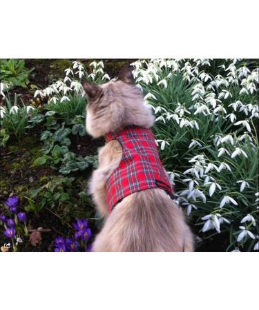 Mynwood Cat Jacket/Harness Royal Stewart Tartan Adult Cat - Buy Online on GoSupps.com