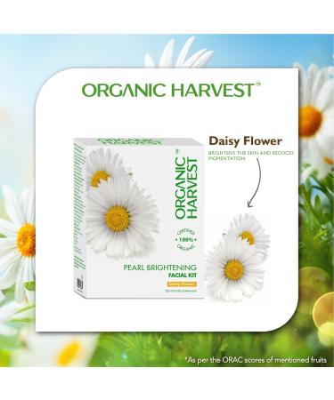 Pearl Brightening Facial Kit - Daisy Flower | Glowing Skin & Anti-Aging | Sulphate Free | 100% Organic | 40gm | Men & Women - Buy Online on GoSupps.com