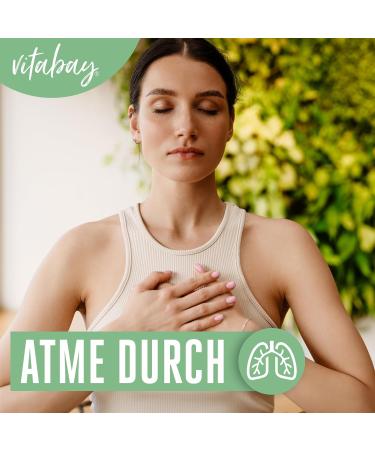 Vitabay NAC Capsules 600mg | Vegan N-Acetyl Cysteine Supplement | 360 Laboratory Tested Capsules for Immune Support - Buy Online on GoSupps.com