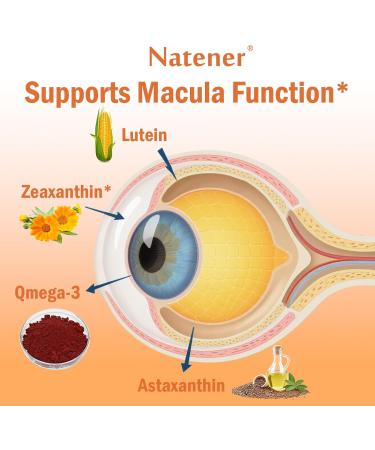 Natener 14 in 1 Eye Vitamins 25mg Lutein 5mg Zeaxanthin 24mg Astaxanthin 800mg Omega-3 & 100mg L-Theanine Supports Eye Health Moisture and Comfort* - Buy Online on GoSupps.com