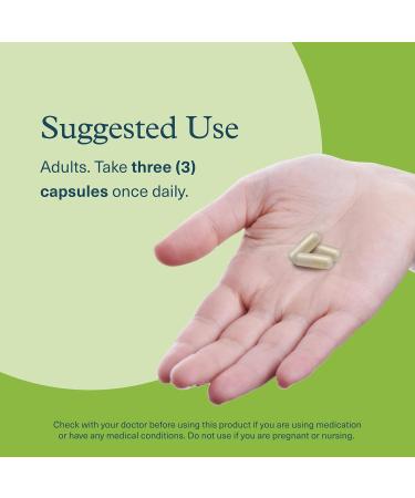 Youtheory Mushroom Stress Complex Organic Full-Spectrum Mushrrom with L-Theanine Help Reduce Stress and Promotes Mental Calmness 60 Vegetarian Capsules - Buy Online on GoSupps.com
