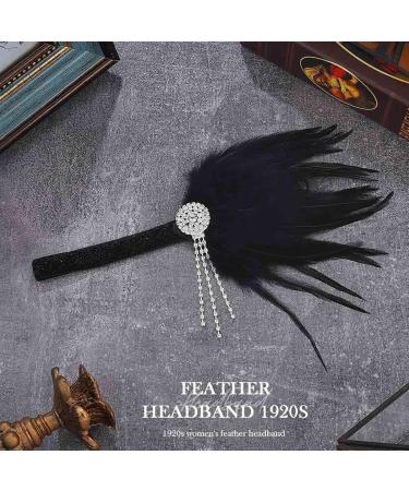 Handcess 1920s Feather Flapper Headband Black Crystals Feather Headband Women's Vintage Flapper Headpiece 20's Theme Cocktail Hair Accessories for Costume Prom Carnival Theme Party - Buy Online on GoSupps.com