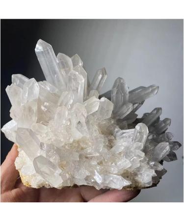 Natural Crystal Rough Crystal Cluster Natural Rare White Quartz Crystal Cluster Specimen (Size : 350-400g) - Buy Online on GoSupps.com