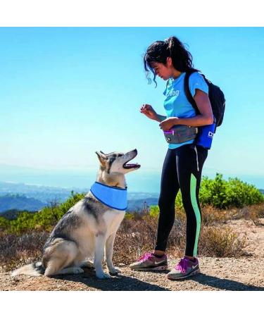 Cooling Collar for Dogs | Breathable Summer Neckerchief for Ultimate Heat Relief - Buy Online on GoSupps.com