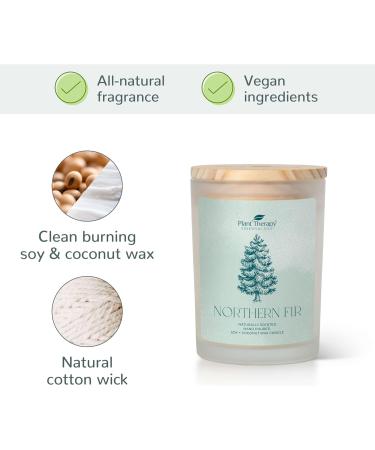 Buy Plant Therapy Northern Fir Candle - 8 oz Hand-Poured Coconut & Soy Wax Refreshing Forest Scent Frosted White Jar with Wooden Lid - International Shipping Available - Buy Online on GoSupps.com