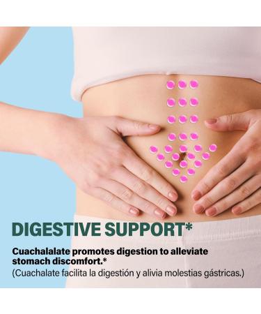 Cuachalalate Digestive Drops: Herbal Supplement w/Licorice Root Dandelion Clove Cancerina Extracts for Upset Stomach Relief Gastric Health & Immune System Support. 2oz Cuachalalate 2 Fl Oz (Pack of 1) - Buy Online on GoSupps.com