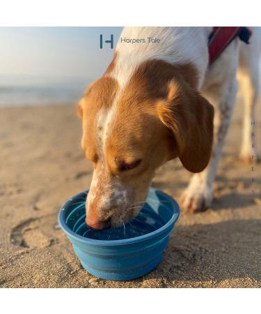 Harpers Tale 1000ml Collapsible Travel Dog Bowl | Food Grade Silicone BPA Free No Plastic Rim Snap Hook - Buy Online on GoSupps.com