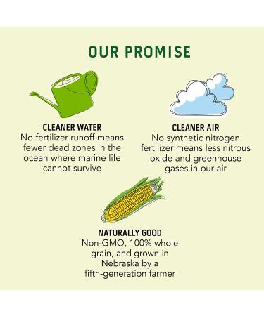 Connect Snacks Non-GMO Large Popcorn Kernels - 24 oz Bag | Gourmet Butterfly Yellow Popcorn | Gluten-Free & Sustainable | 100 Cups Popped - Buy Online on GoSupps.com