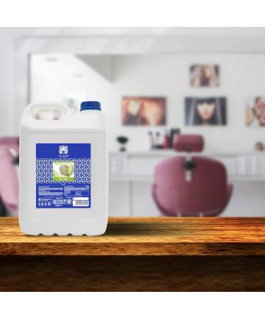 V lquer Laboratories V lquer Professional Melon Shampoo without salt for use by hairdressers Shampoo for professionals 5000 ml - Buy Online on GoSupps.com