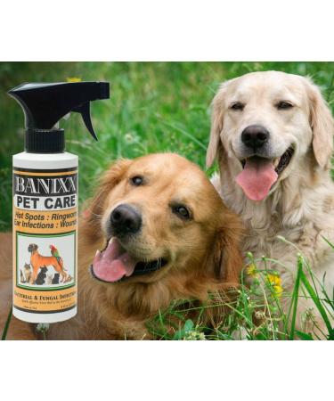 Banixx Pet Care 8oz - Fungal & Bacterial Infection Treatment for Pets - Buy Online on GoSupps.com
