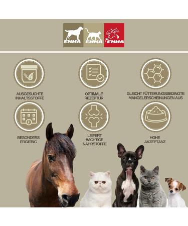 Emma Mineral Feed for Horses - High-Dose Vitamin B Complex Biotin Zinc Selenium Magnesium & Vitamin D - 5kg - Buy Online on GoSupps.com