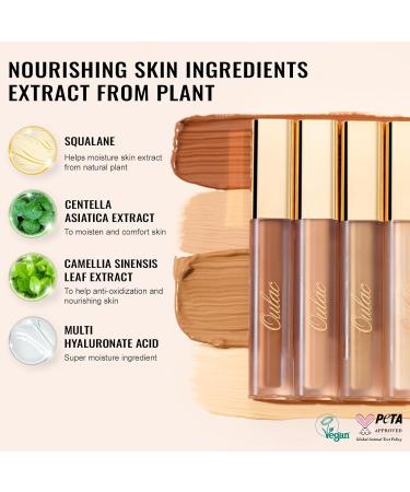 Oulac Hydrating Concealer Makeup | Medium coverage concealer for dark circles | Makeup concealer that nourishes the skin Ivory concealer vegan 3.8ml Ivory (C2) - Buy Online on GoSupps.com