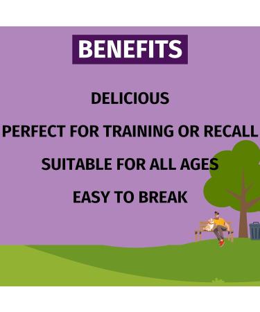 Devoted Dog Treats - Duck & Chicken Jerky (80g x 1 Pack) High Protein Training Reward Treats 85% Duck & Chicken 80 g (Pack of 1) - Buy Online on GoSupps.com