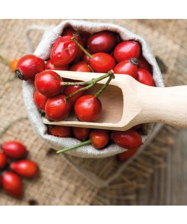 MeaVita Organic Rosehip Powder Raw Vegetable Quality Gluten Free 1 Pack (1 x 1000 g) - Buy Online on GoSupps.com