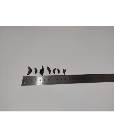 Black Fungus Small Ear Fungus 100g - Buy Online on GoSupps.com