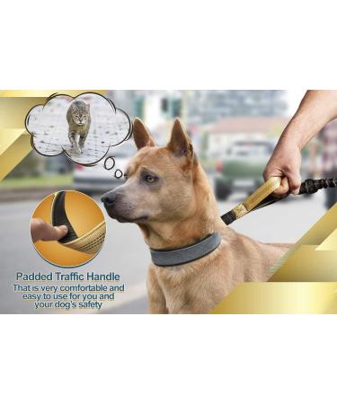 Premium 2-in-1 Jogging Leash & Normal Dog Leash for Medium & Large Dogs | Double Handle & Belly Belt for Jogging Hiking & Walking - Buy Online on GoSupps.com