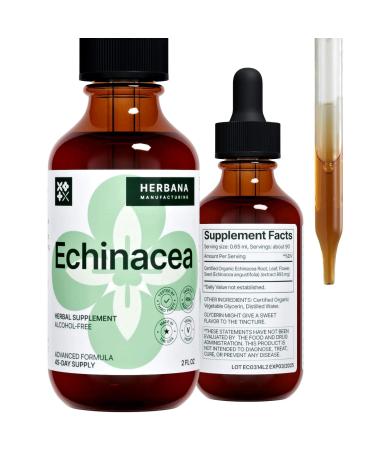Echinacea 2 fl oz Liquid Extract - Organic Root Leaf Flower Seed - Natural Herbal Supplement - Body Immune System Support Tincture - High Potency Drops - 45-Day Supply 2 Fl Oz (Pack of 1)