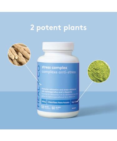 HEAL + CO. Stress Complex | Ashwagandha + L-Theanine | Stress + Relaxation Support Supplement | 120 Capsules - Buy Online on GoSupps.com