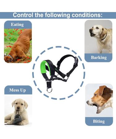 Padded Dog Head Collar for Anti-Pulling Control | Adjustable Head Harness in L Lake Blue - Buy Online on GoSupps.com