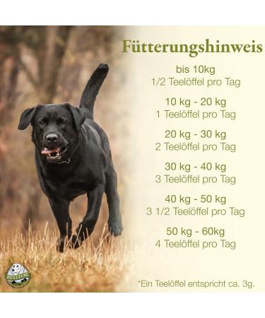 Buy Verol Powder for Dogs - Natural Worm Prevention with Coconut Flour & Pumpkin Seeds | Bellfor 80g - Supports Intestinal Health & Immune System - Buy Online on GoSupps.com