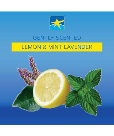 BRIGHT SAFE CARE Instant Hand Sanitizer 1L Pump Alcohol Based With Moisturizers Aloe Vera Jojoba Oil & Vitamin E Made in Canada (Lemon & Lavender Mint) - Buy Online on GoSupps.com