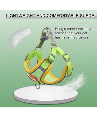 Rennaio No Pull Dog Harness & Leash Set for Small & Medium Dogs Adjustable Comfortable Green M - Buy Online on GoSupps.com