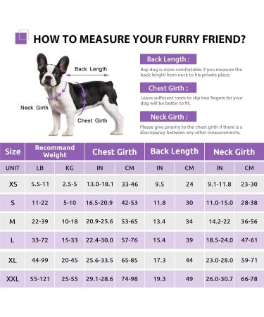Shop Cit toile Life Jacket for Dogs - Safe & Lightweight Swimming Vest with Handle | Reflective | Sizes XS-XL | Pink Green Purple - Buy Online on GoSupps.com