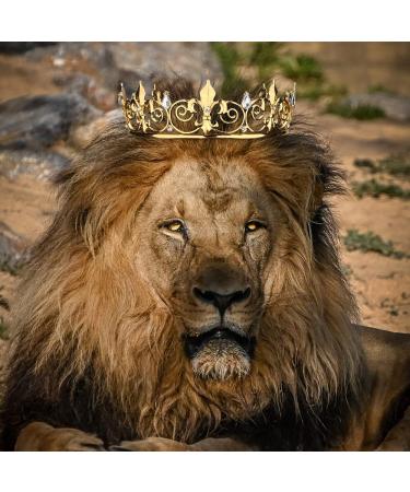 AOPRIE King & Queen Artemis Tiara and Crown | Crystal Hair Accessories for Wedding, Prom, Bridal, Birthday, Halloween & Christmas - Gold Princess Tiara for Women, Men, Girls & Boys - Buy Online on GoSupps.com