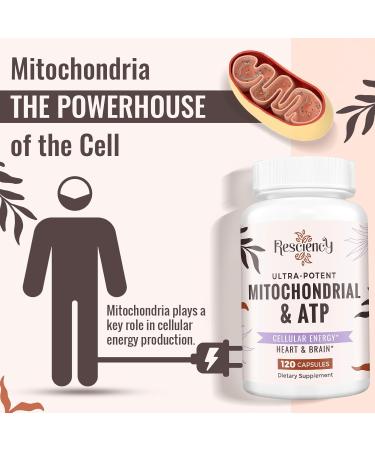 Resciency 2326 MG Mitochondrial Supplements with ATP, Vitamins, CoQ10 & PQQ, More Effective Than Creatine HMB & Nitric Oxide, Energy, Endurance, Strength, Recovery & Muscle, Organic, 120 Capsules 120 Count (Pack of 1) - Buy Online on GoSupps.com