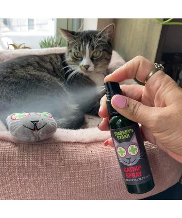 Smokey's Stash Catnip Spray - 2 Ounce Premium Potency Treat for Cats - Buy Online on GoSupps.com
