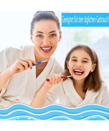 Vetory 100 Interdental Brushes - Effective Tooth Cleaning Tool for Dental Hygiene | Floss Picks for Interdental Spaces (Red & Blue) - Buy Online on GoSupps.com