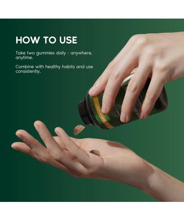 Primal Harvest Supergreens Gummies + Magnesium Complex | 2-Pack Bundle | 16 Superfoods + Chelated Magnesium Blend | Gummies & Capsules | Food Supplement | 30 Servings Each - Buy Online on GoSupps.com