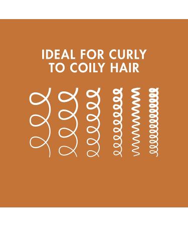 Nexxus Curl Define Shampoo & Conditioner 2 Count - ProteinFusion for Curly/Coily Hair, Strengthening & Moisturizing - Sulfate-Free with Marula Oil 13.5 oz - Buy Online on GoSupps.com
