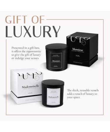 Premium Monsieur Candle | Suede Noir & Smoked Woods | Hand-Poured Luxury Soy Candles | Vegan & Paraffin-Free | 9 oz Home Decor - Buy Online on GoSupps.com