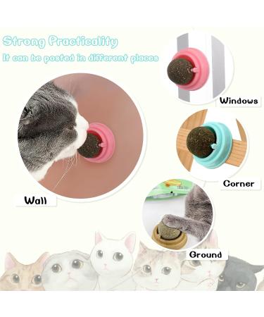 Xinstroe 4 Pack Catnip Balls Toys - Rotating Wall Catnip Balls for Engaging Cat Play | Shop Internationally - Buy Online on GoSupps.com