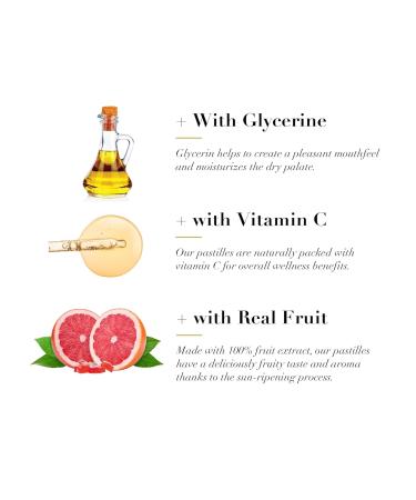 Dr. Doolittle s Sugar Free Pastilles with Stevia for Voice and Throat Grapefruit Flavor 2.12 Ounce Tin approximately 25 Count Package 2 Pack - Buy Online on GoSupps.com