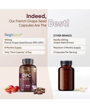 Grape Seed Extract Capsules - 240 Vegan Capsules (8 Months Supply) - 500mg per Capsule - 95% OPC - Polyphenol Supplement for Men & Women - Buy Online on GoSupps.com
