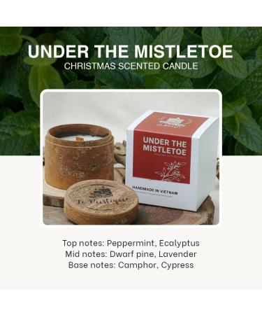 Christmas Scented Soy Candle with Eucalyptus Lavender & Cypress - 3.2oz Aromatherapy Candle for Anxiety & Relaxation - 24 Hours Burn Time | Perfect Fall Decor Gift - Buy Online on GoSupps.com