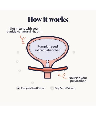 Jude Bladder Control Tablets Daily Supplement Reduce Leaks Relieve Need-to-Go Urgency Improve Sleep Overactive Bladder Tablets 180 Capsules 180 Count (Pack of 1) - Buy Online on GoSupps.com