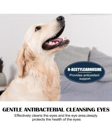 Eye Drops for Dogs & Cats - 10ml Comfort Relief for Dry Eyes & Eye Itching (2/4 Pack) - Progressive Lanosterol Formula - Buy Online on GoSupps.com